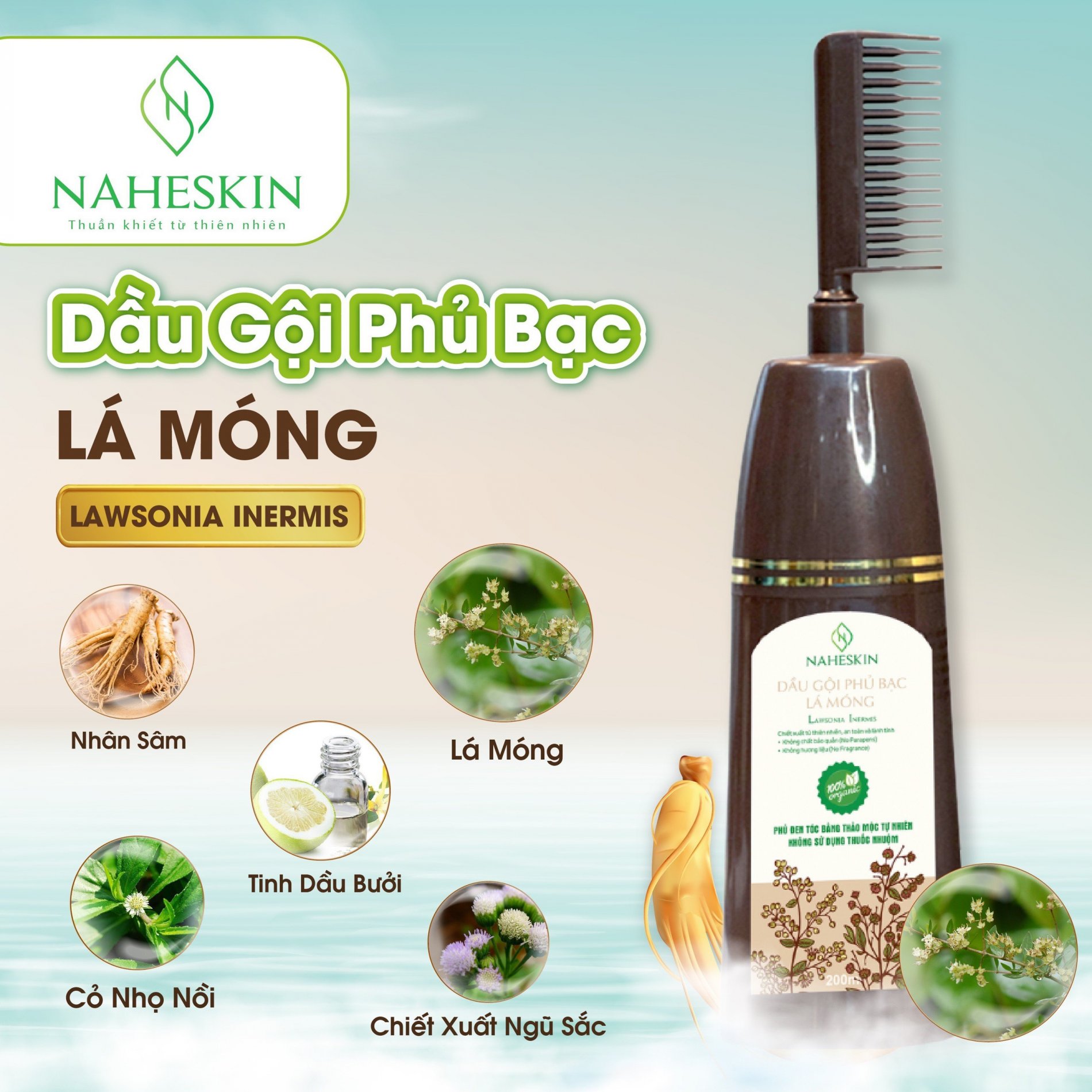 Dầu gội phủ bạc Lá Móng